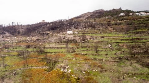 DJI_0504