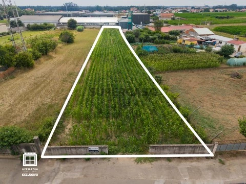 Terreno