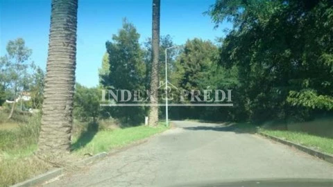 Terreno em Borralha, Águeda
