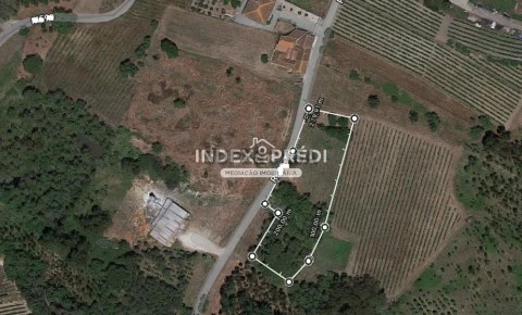 Terreno em Covões e Camarneira, Cantanhede
