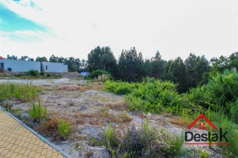 Lote em Cambra e Carvalhal de Vermilhas, Vouzela