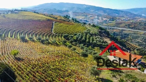 Terreno em Parada do Bispo e Valdigem, Lamego