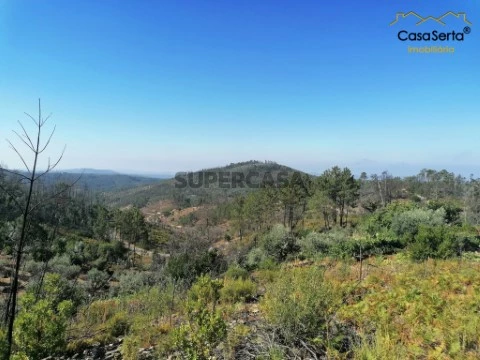 Terreno em Ermida e Figueiredo, Sertã