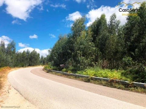 Terreno em Madeirã, Oleiros