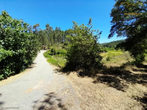 Terreno em Carvalhal, Sertã