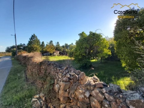 Terreno em Sobreira Formosa e Alvito da Beira, Proença-a-Nova