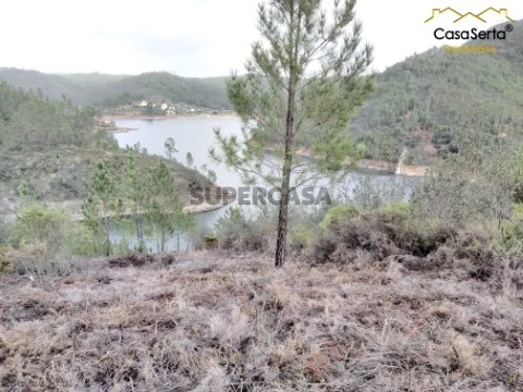 Terreno em Cernache do Bonjardim, Nesperal e Palhais, Sertã
