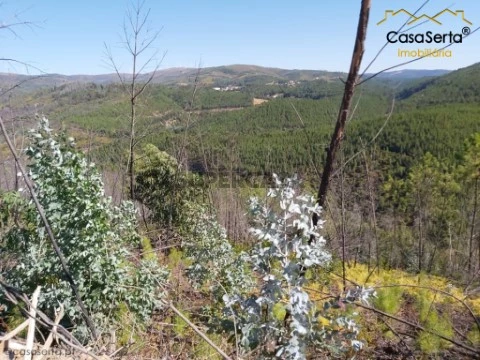 Terreno em Mosteiro, Oleiros