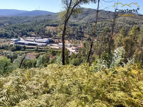 Terreno em Mosteiro, Oleiros