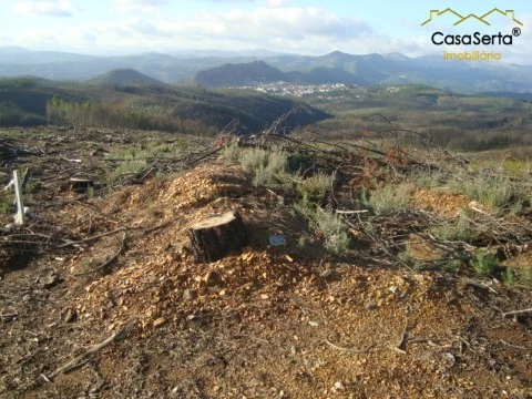 Terreno em Orvalho, Oleiros