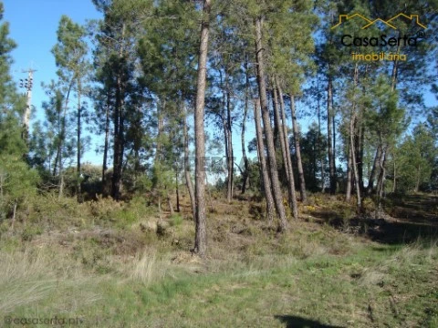 Terreno em Envendos, Mação