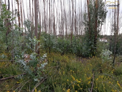 Terreno em Castelo, Sertã