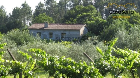 Quinta T0 na Sertã, Sertã
