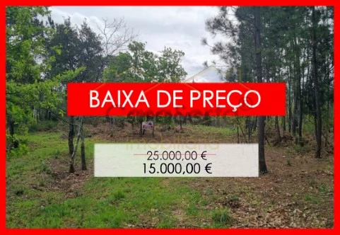 Terreno em Cernache do Bonjardim, Nesperal e Palhais, Sertã