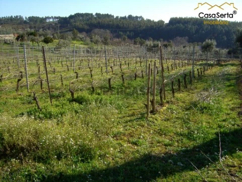 Terreno em Carvalhal, Sertã