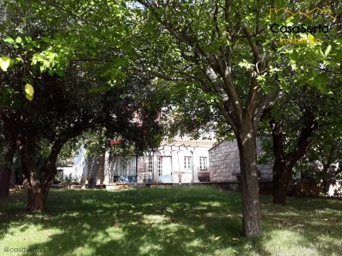 Quinta T7 em Castelo Branco, Castelo Branco