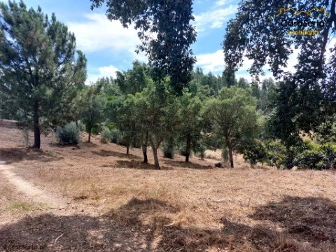 Terreno en Valhascos, Sardoal