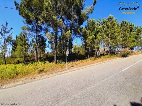 Terreno em São João do Peso, Vila de Rei