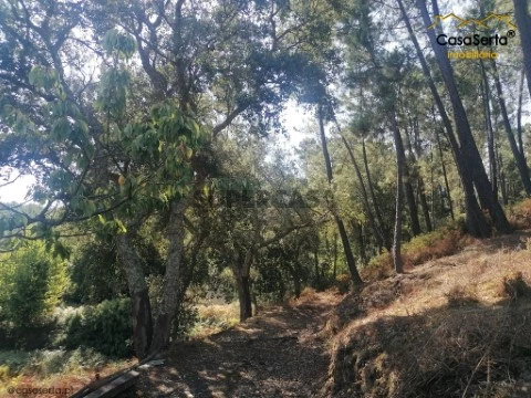 Terreno em Carvalhal, Sertã