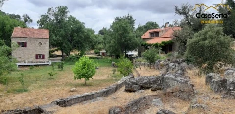 Quinta T7 em Alcains, Castelo Branco