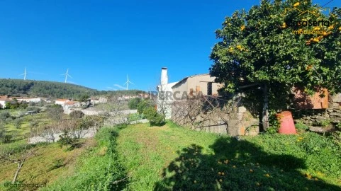 Terreno em Proença-a-Nova e Peral, Proença-a-Nova