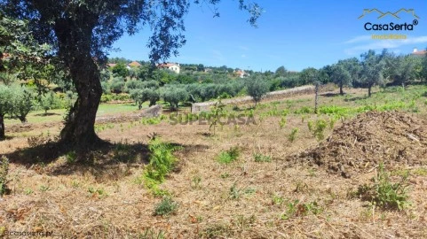Terreno em Cabeçudo, Sertã