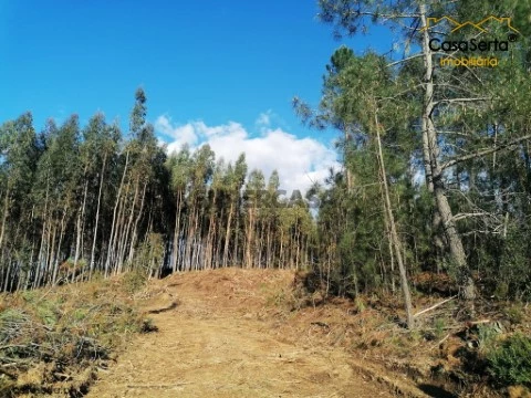 Terreno em Oleiros-Amieira, Oleiros