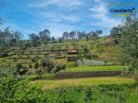 Quinta T0 em Ermida e Figueiredo, Sertã