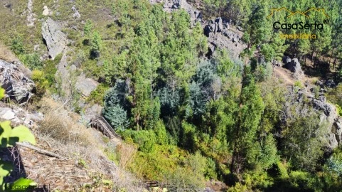 Terreno em Cernache do Bonjardim, Nesperal e Palhais, Sertã