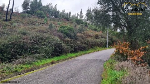 Terreno em Castelo, Sertã