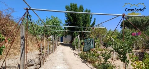 Quinta T0 em Salgueiro do Campo, Castelo Branco