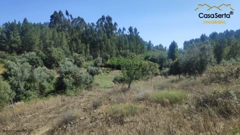 Terreno em Proença-a-Nova e Peral, Proença-a-Nova