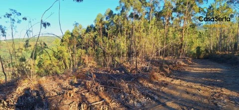 Terreno em Troviscal, Sertã