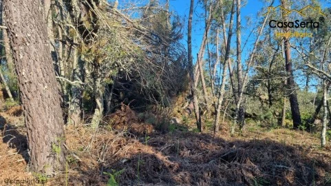 Terreno Urbanizável em Castelo, Sertã