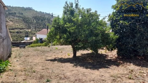 Terreno em Vila de Rei, Vila de Rei