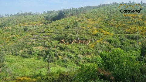 Terreno em Ermida e Figueiredo, Sertã