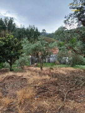 Terreno em Oleiros-Amieira, Oleiros