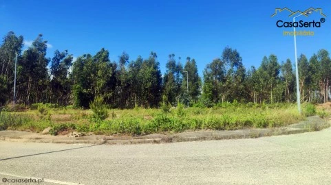Terreno em Cernache do Bonjardim, Nesperal e Palhais, Sertã
