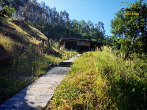 Quinta T1 em Castelo, Sertã