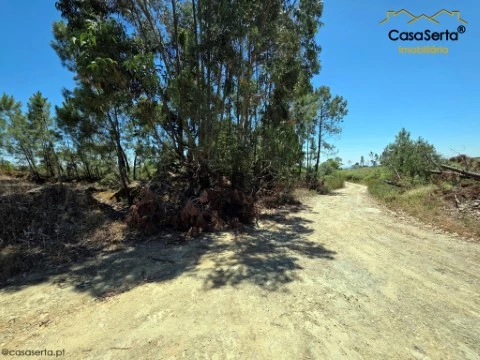 Terreno em Proença-a-Nova e Peral, Proença-a-Nova