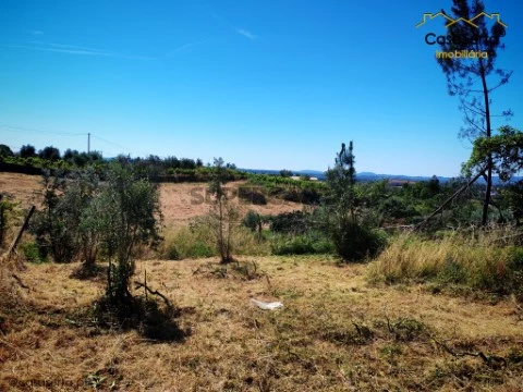 Terreno em Cabeçudo, Sertã