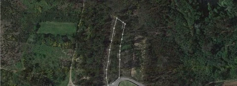 TERRENO bela
