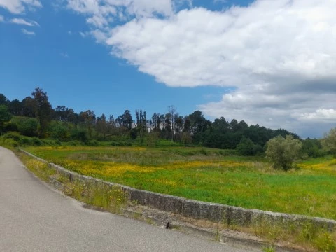 terreno agricola