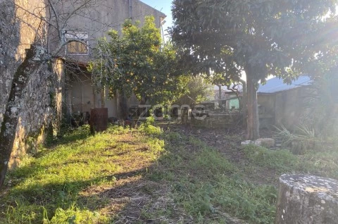 Quintal/Jardim