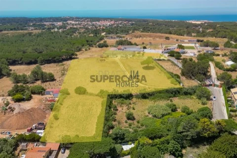 Terreno