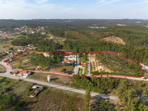 Vista Panorâmica