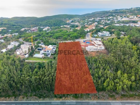 Terreno