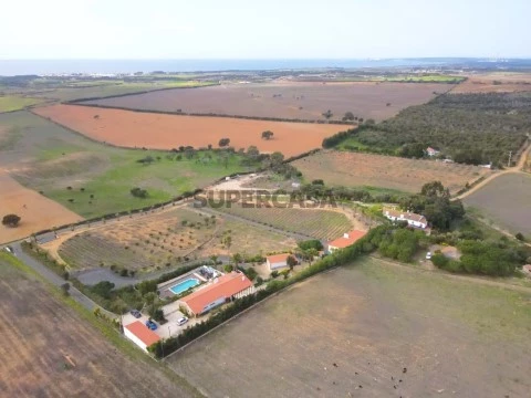 DJI_0336