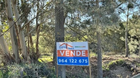 EL2026585