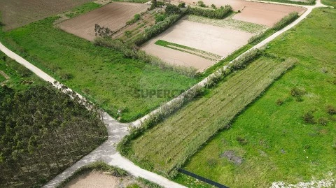 Land in Atouguia da Baleia, Peniche